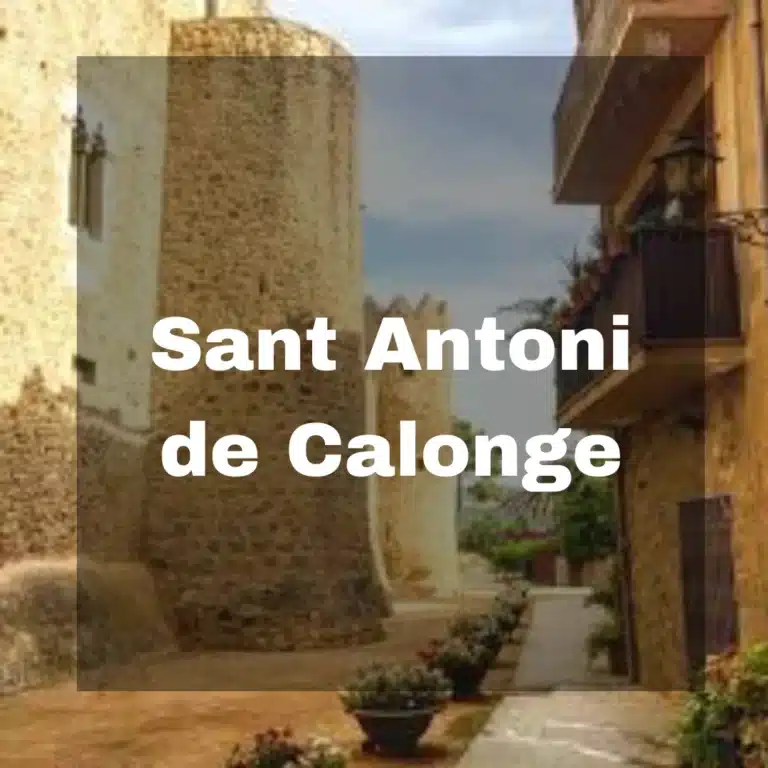 Achat Calonge Service